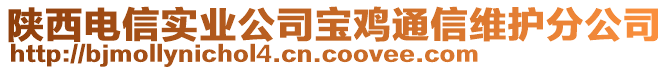 陜西電信實(shí)業(yè)公司寶雞通信維護(hù)分公司