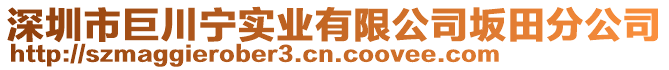 深圳市巨川寧實(shí)業(yè)有限公司坂田分公司