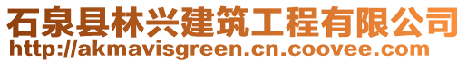 石泉縣林興建筑工程有限公司