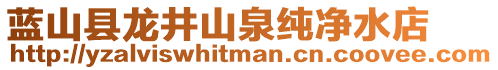 藍(lán)山縣龍井山泉純凈水店