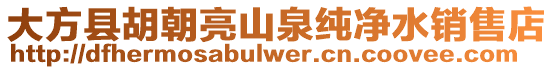 大方縣胡朝亮山泉純凈水銷售店