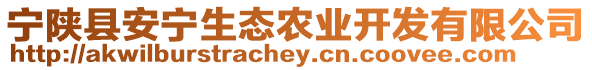 寧陜縣安寧生態(tài)農(nóng)業(yè)開發(fā)有限公司