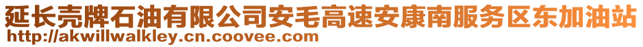 延長(zhǎng)殼牌石油有限公司安毛高速安康南服務(wù)區(qū)東加油站