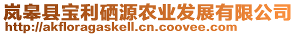 嵐皋縣寶利硒源農(nóng)業(yè)發(fā)展有限公司