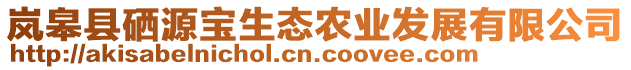 嵐皋縣硒源寶生態(tài)農(nóng)業(yè)發(fā)展有限公司