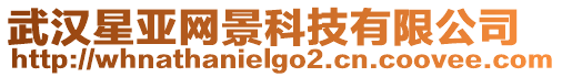 武漢星亞網(wǎng)景科技有限公司