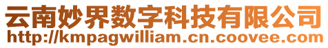 云南妙界數(shù)字科技有限公司