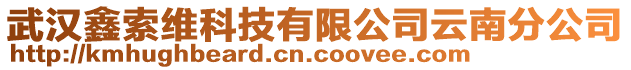 武漢鑫索維科技有限公司云南分公司