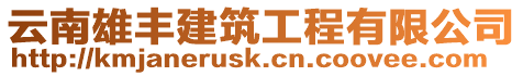 云南雄豐建筑工程有限公司