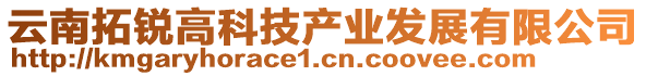 云南拓銳高科技產業(yè)發(fā)展有限公司