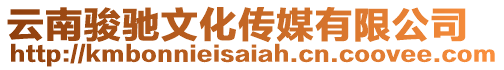 云南駿馳文化傳媒有限公司