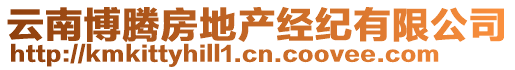 云南博騰房地產(chǎn)經(jīng)紀有限公司