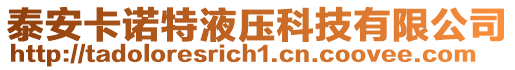 泰安卡諾特液壓科技有限公司