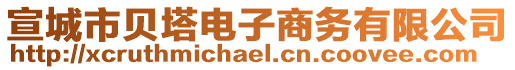 宣城市貝塔電子商務有限公司