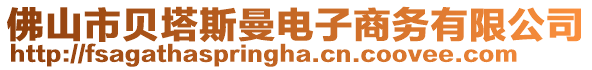 佛山市貝塔斯曼電子商務(wù)有限公司