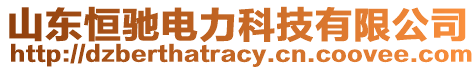 山东恒驰电力科技有限公司