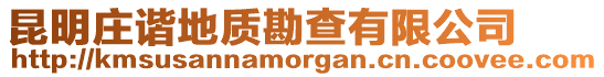 昆明莊諧地質(zhì)勘查有限公司