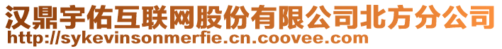 漢鼎宇佑互聯(lián)網(wǎng)股份有限公司北方分公司