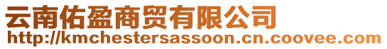 云南佑盈商貿(mào)有限公司