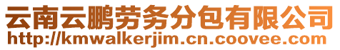 云南云鵬勞務(wù)分包有限公司