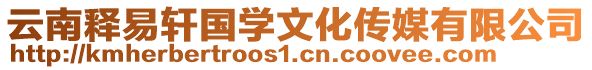 云南释易轩国学文化传媒有限公司