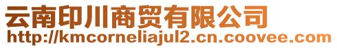 云南印川商貿(mào)有限公司