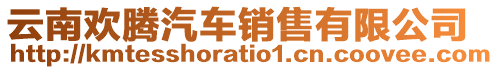 云南歡騰汽車銷售有限公司