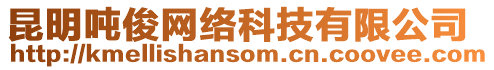 昆明噸俊網(wǎng)絡(luò)科技有限公司