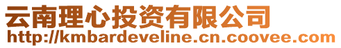 云南理心投資有限公司