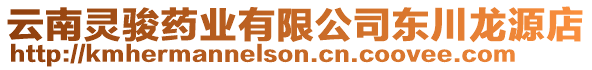 云南靈駿藥業(yè)有限公司東川龍源店