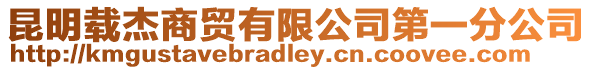 昆明載杰商貿有限公司第一分公司