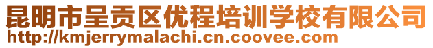 昆明市呈貢區(qū)優(yōu)程培訓(xùn)學(xué)校有限公司