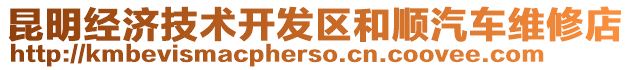 昆明經(jīng)濟技術開發(fā)區(qū)和順汽車維修店