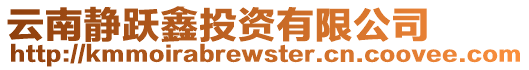 云南靜躍鑫投資有限公司