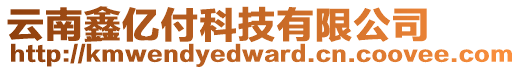 云南鑫億付科技有限公司