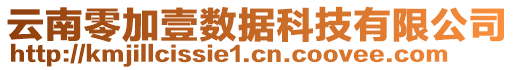 云南零加壹數(shù)據(jù)科技有限公司