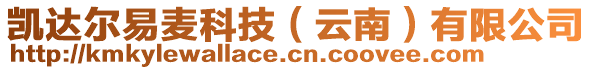 凱達(dá)爾易麥科技（云南）有限公司