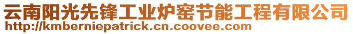 云南陽(yáng)光先鋒工業(yè)爐窯節(jié)能工程有限公司