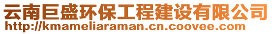 云南巨盛環(huán)保工程建設(shè)有限公司