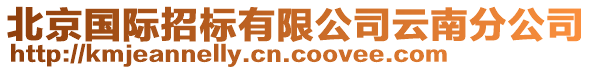 北京國際招標有限公司云南分公司