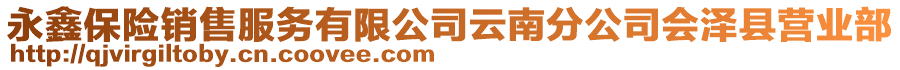 永鑫保險(xiǎn)銷售服務(wù)有限公司云南分公司會(huì)澤縣營(yíng)業(yè)部