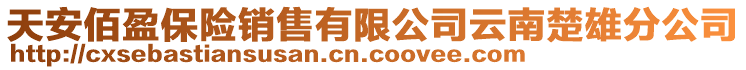 天安佰盈保險銷售有限公司云南楚雄分公司