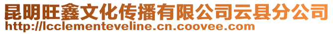 昆明旺鑫文化傳播有限公司云縣分公司