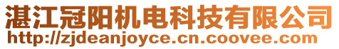 湛江冠陽機電科技有限公司