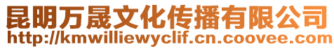 昆明萬晟文化傳播有限公司