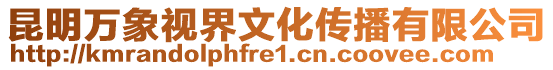 昆明萬象視界文化傳播有限公司