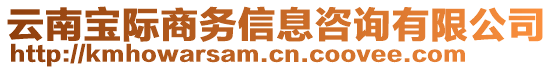 云南寶際商務(wù)信息咨詢有限公司