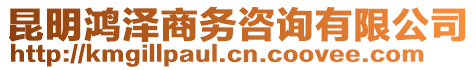 昆明鴻澤商務(wù)咨詢有限公司