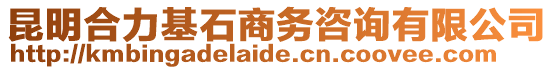 昆明合力基石商務(wù)咨詢(xún)有限公司