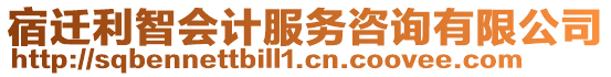 宿遷利智會計服務咨詢有限公司